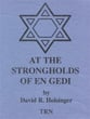 At the Strongholds of en Gedi Concert Band sheet music cover